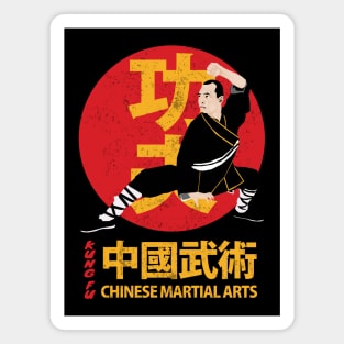 Vintage Kung Fu Chinese Martial Arts Magnet